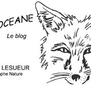 Mon blog