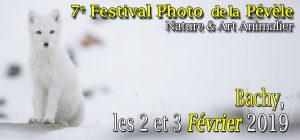 Festival de la Pélève