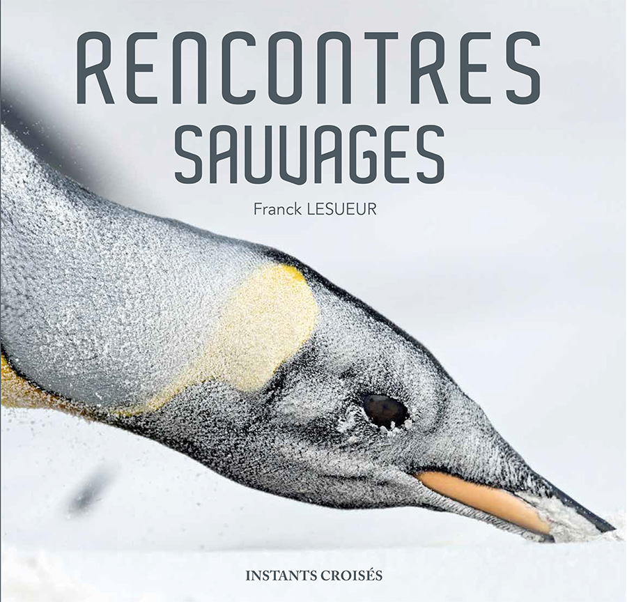 Rencontres Sauvages