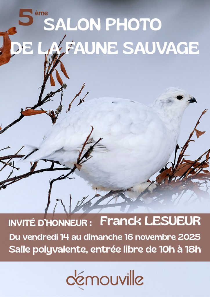 Affiche jpg