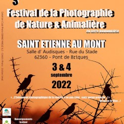 Festival de Saint Etienne Au Mont 2022